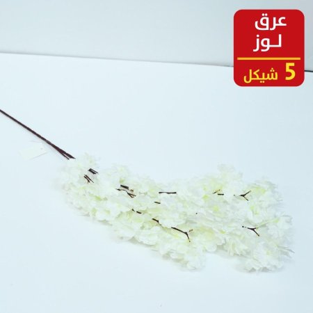 عرق لوز